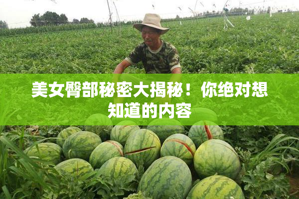 美女臀部秘密大揭秘！你绝对想知道的内容
