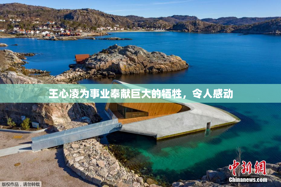 王心凌为事业奉献巨大的牺牲，令人感动
