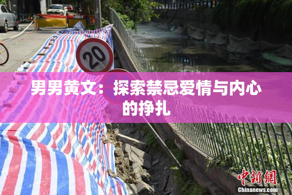 男男黄文：探索禁忌爱情与内心的挣扎