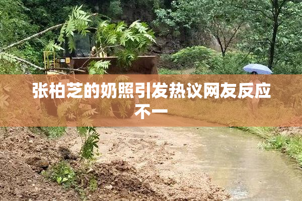 张柏芝的奶照引发热议网友反应不一