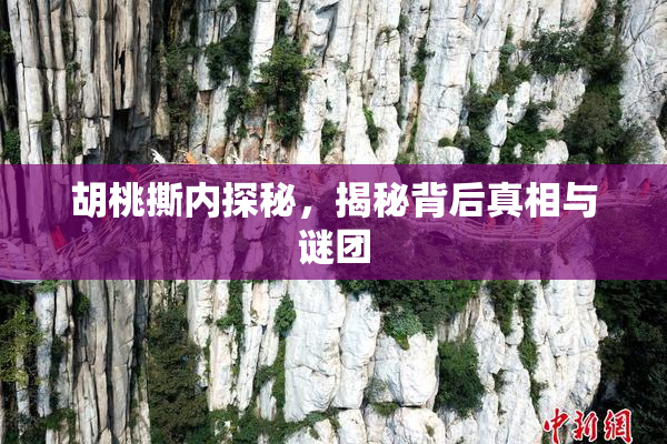 胡桃撕内探秘，揭秘背后真相与谜团