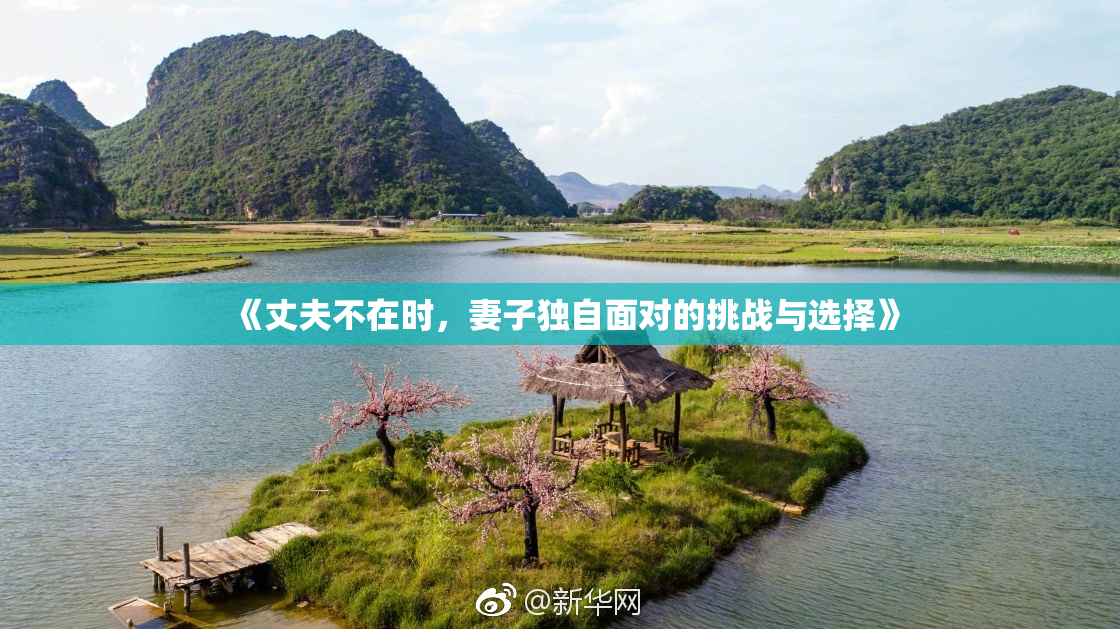 《丈夫不在时，妻子独自面对的挑战与选择》