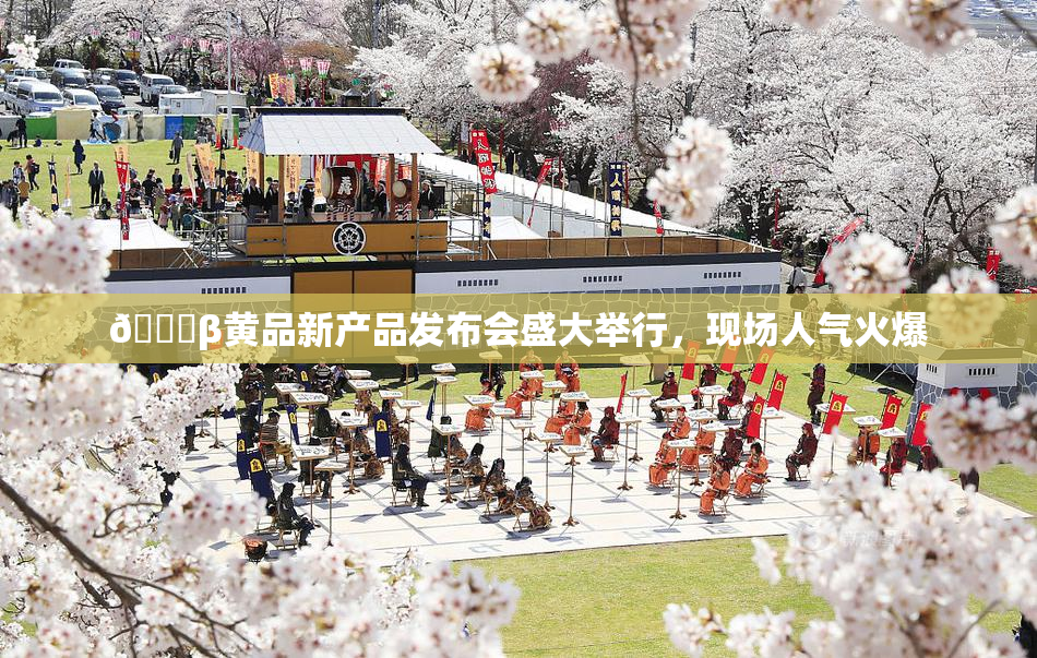 🔞β黄品新产品发布会盛大举行，现场人气火爆