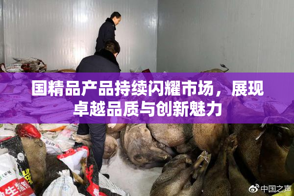 国精品产品持续闪耀市场，展现卓越品质与创新魅力