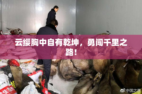 云缨胸中自有乾坤，勇闯千里之路！