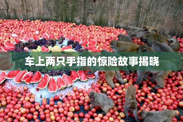 车上两只手指的惊险故事揭晓