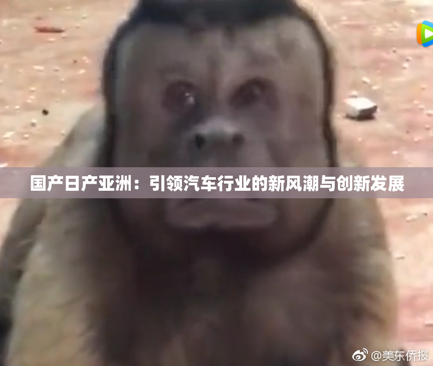 国产日产亚洲：引领汽车行业的新风潮与创新发展
