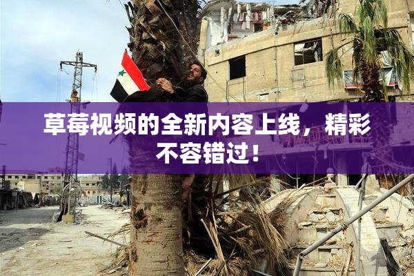 草莓视频的全新内容上线，精彩不容错过！