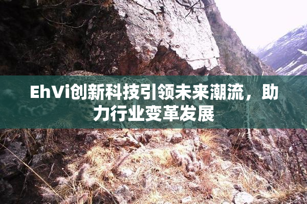 EhVi创新科技引领未来潮流，助力行业变革发展