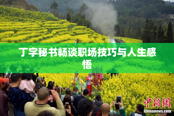 丁字秘书畅谈职场技巧与人生感悟