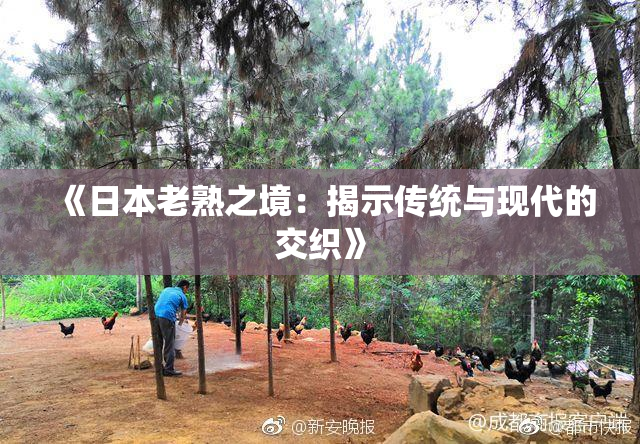 《日本老熟之境：揭示传统与现代的交织》
