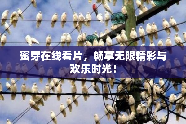 蜜芽在线看片，畅享无限精彩与欢乐时光！