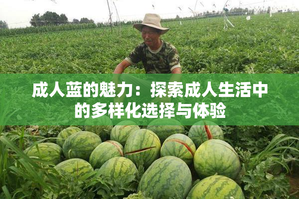 成人蓝的魅力：探索成人生活中的多样化选择与体验