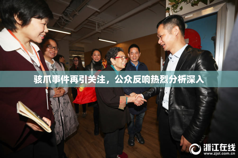 骇爪事件再引关注，公众反响热烈分析深入