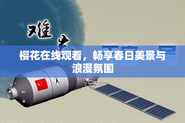 樱花在线观看，畅享春日美景与浪漫氛围