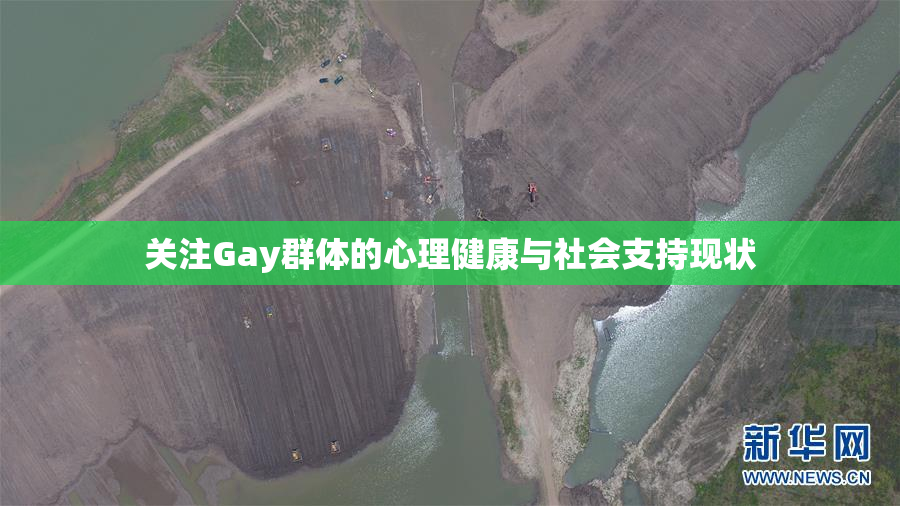 关注Gay群体的心理健康与社会支持现状