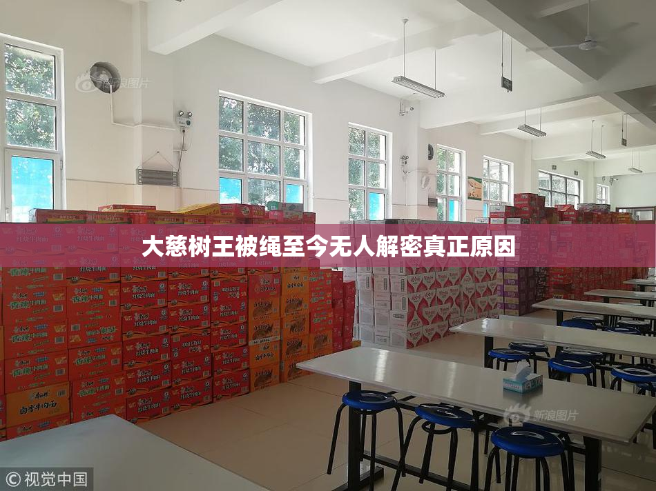 大慈树王被绳至今无人解密真正原因