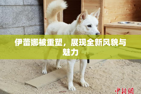 伊蕾娜被重塑，展现全新风貌与魅力