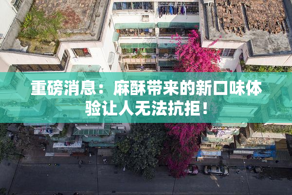 重磅消息：麻酥带来的新口味体验让人无法抗拒！