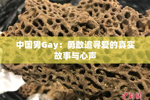中国男Gay：勇敢追寻爱的真实故事与心声