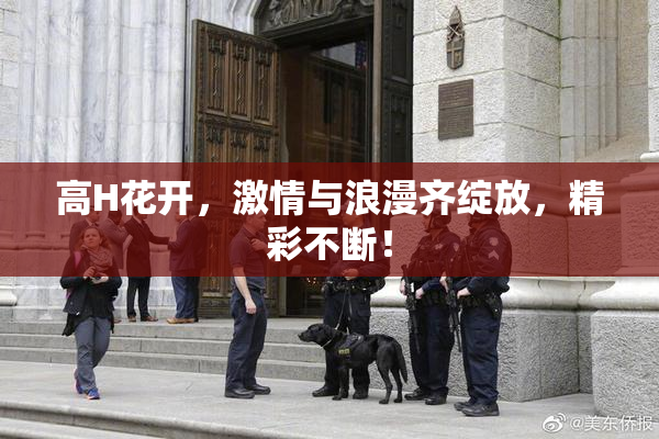 高H花开，激情与浪漫齐绽放，精彩不断！