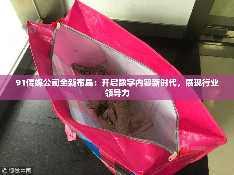 91传媒公司全新布局：开启数字内容新时代，展现行业领导力