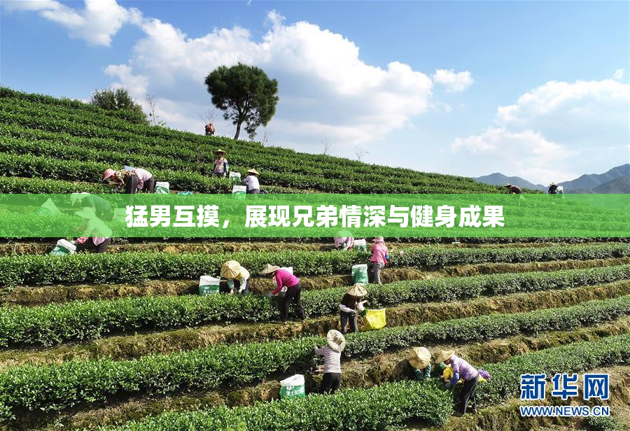 猛男互摸，展现兄弟情深与健身成果