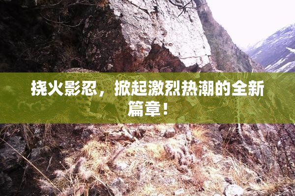 挠火影忍，掀起激烈热潮的全新篇章！