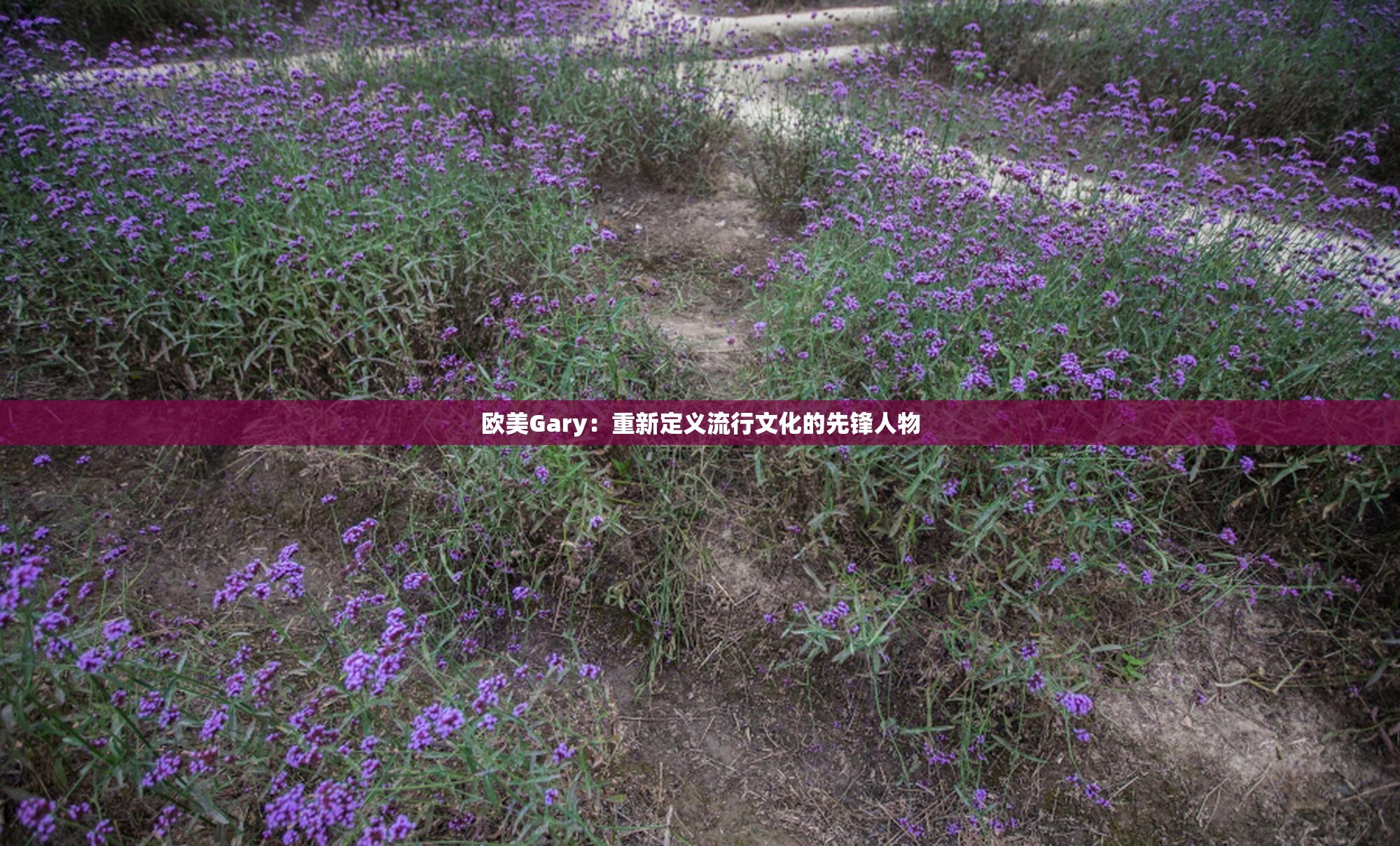 欧美Gary：重新定义流行文化的先锋人物