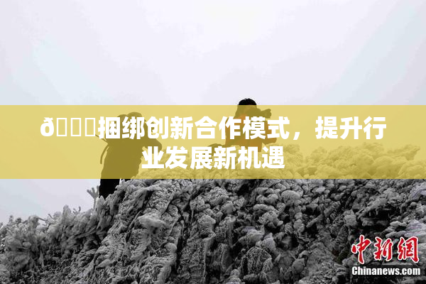 🔞捆绑创新合作模式，提升行业发展新机遇