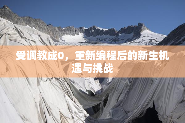 受调教成0，重新编程后的新生机遇与挑战