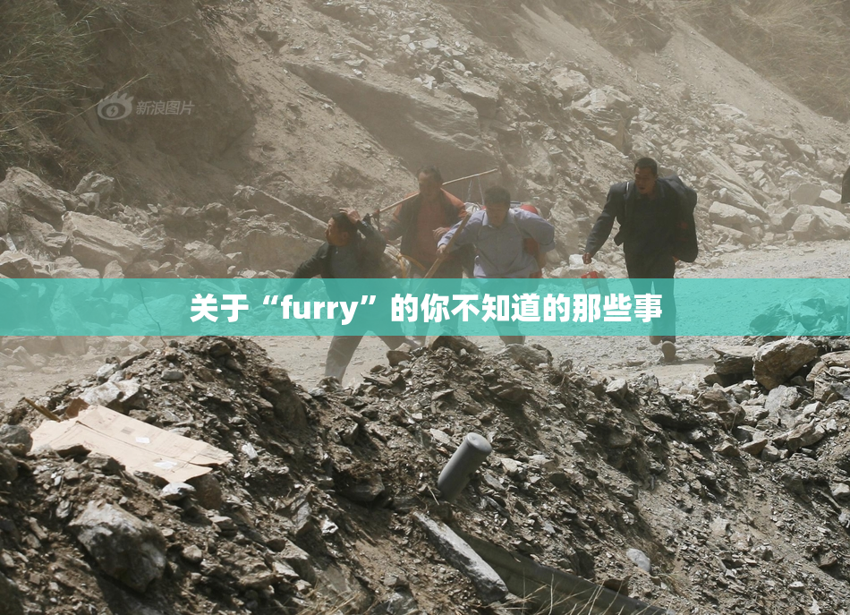 关于“furry”的你不知道的那些事
