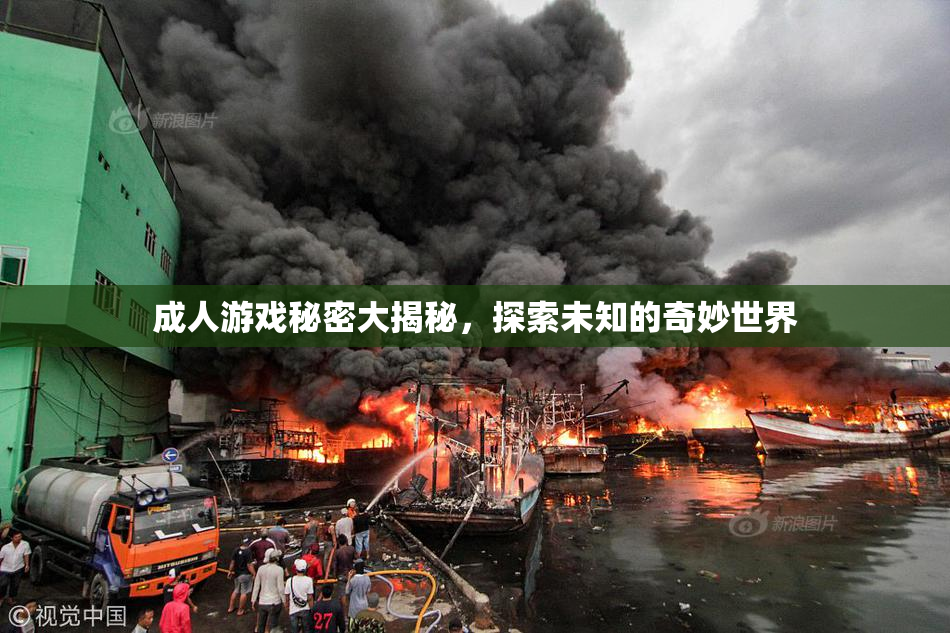 成人游戏秘密大揭秘，探索未知的奇妙世界
