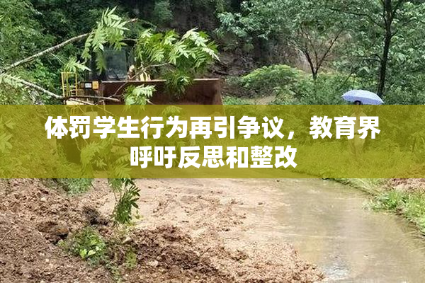 体罚学生行为再引争议，教育界呼吁反思和整改
