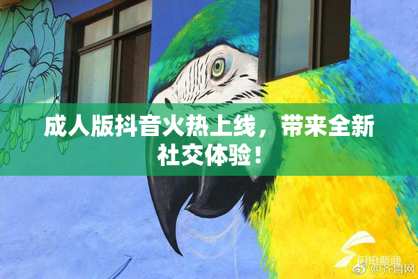 成人版抖音火热上线，带来全新社交体验！