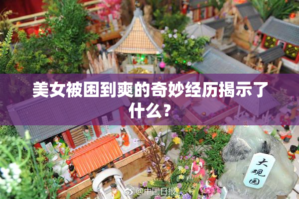 美女被困到爽的奇妙经历揭示了什么？