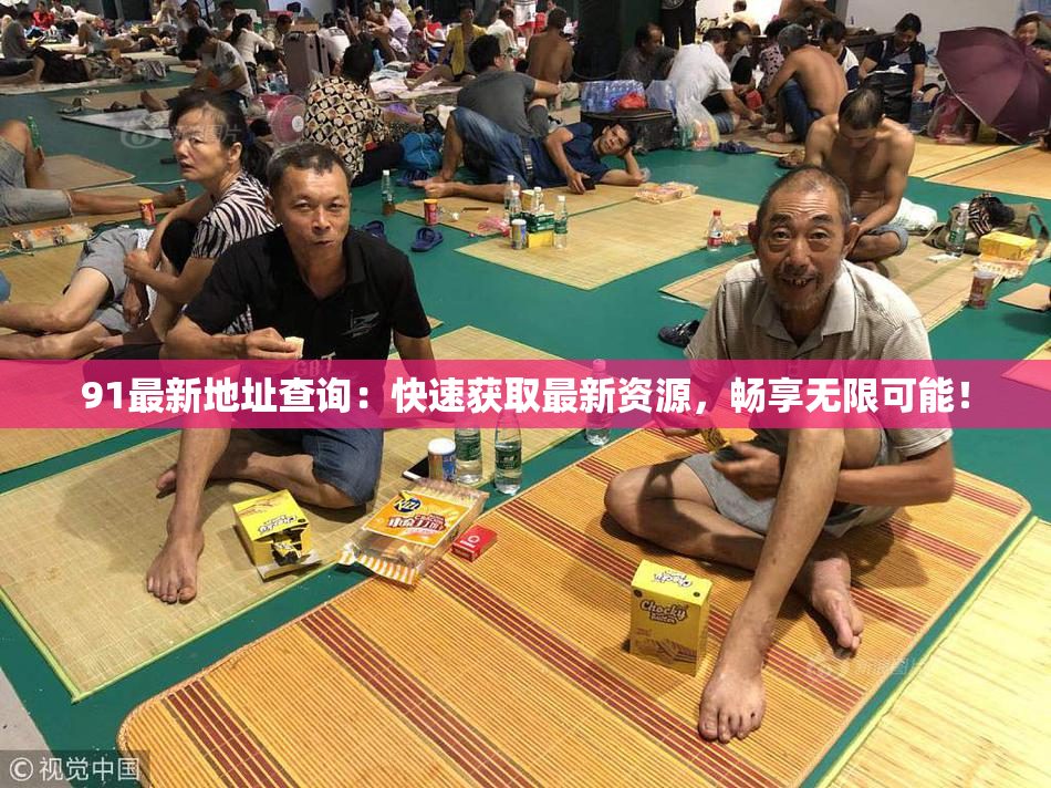 91最新地址查询：快速获取最新资源，畅享无限可能！