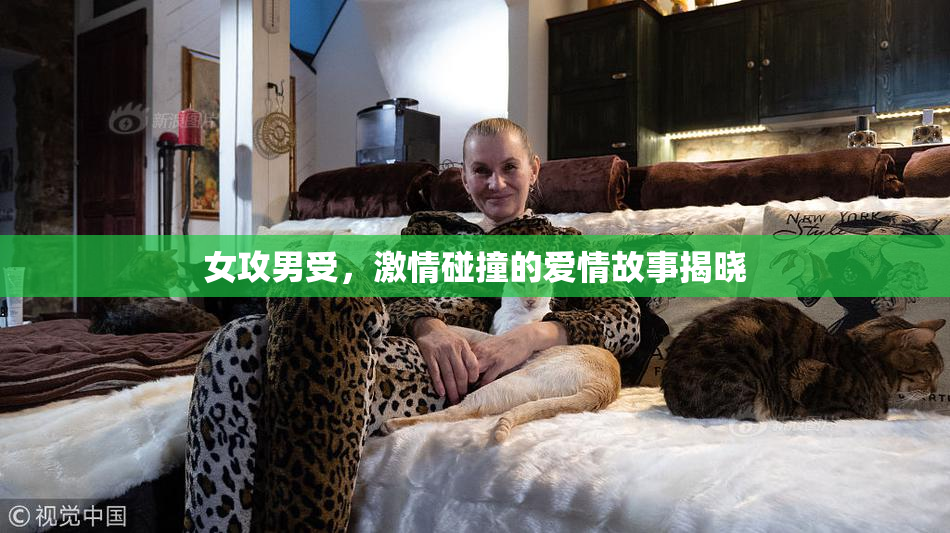 女攻男受，激情碰撞的爱情故事揭晓