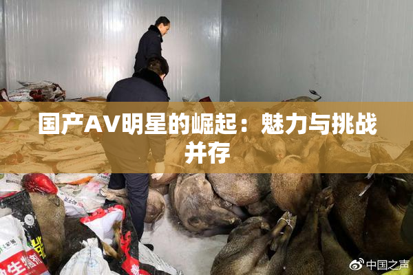 国产AV明星的崛起：魅力与挑战并存