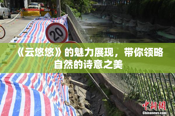 《云悠悠》的魅力展现，带你领略自然的诗意之美