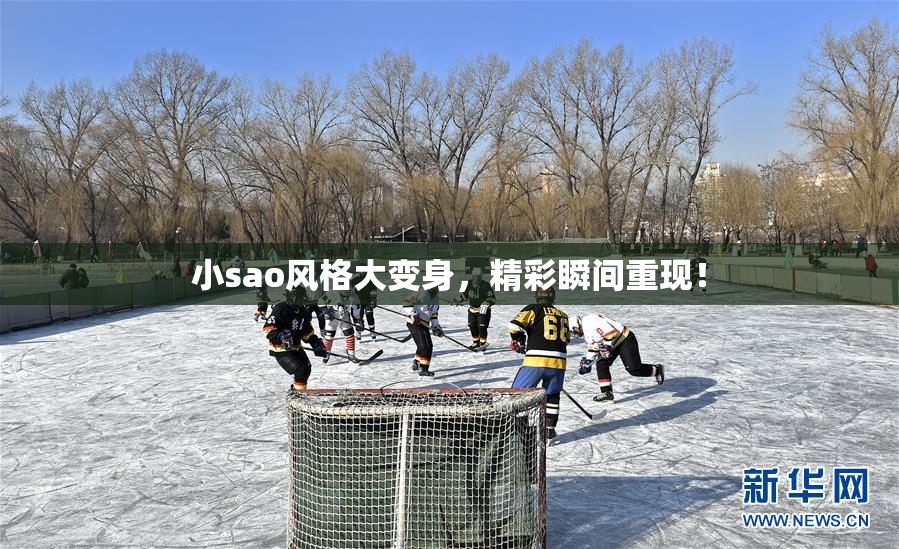 小sao风格大变身，精彩瞬间重现！