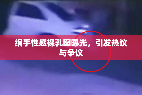 纲手性感裸乳图曝光，引发热议与争议