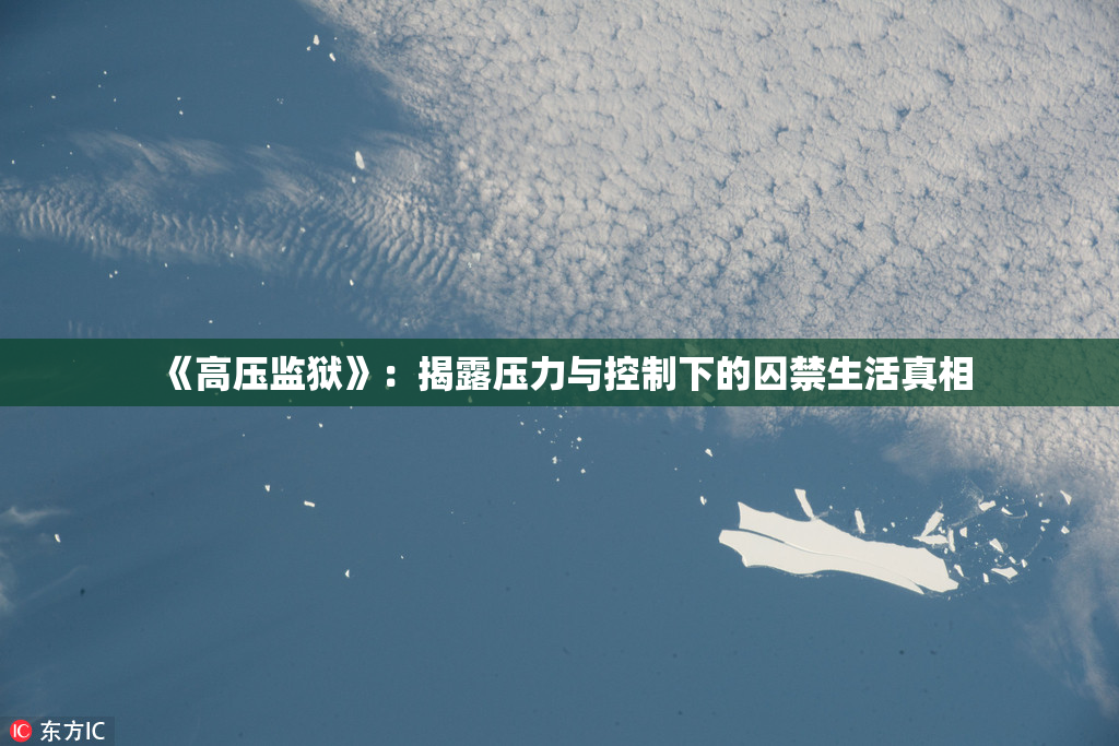 《高压监狱》：揭露压力与控制下的囚禁生活真相