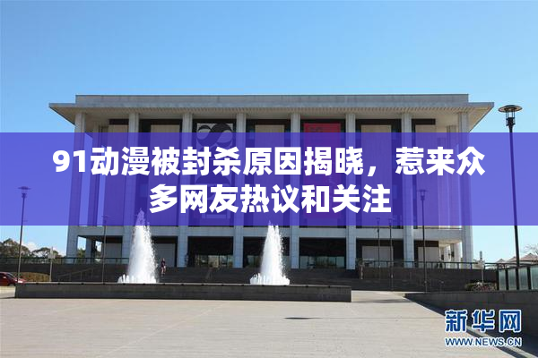 91动漫被封杀原因揭晓，惹来众多网友热议和关注
