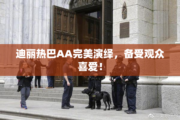 迪丽热巴AA完美演绎，备受观众喜爱！