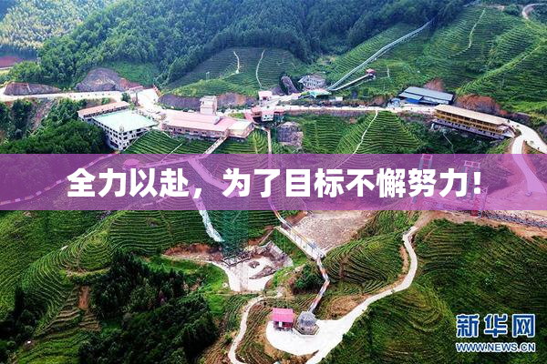 全力以赴，为了目标不懈努力！