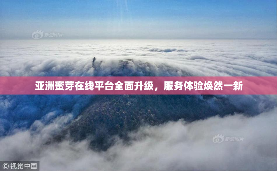 亚洲蜜芽在线平台全面升级，服务体验焕然一新