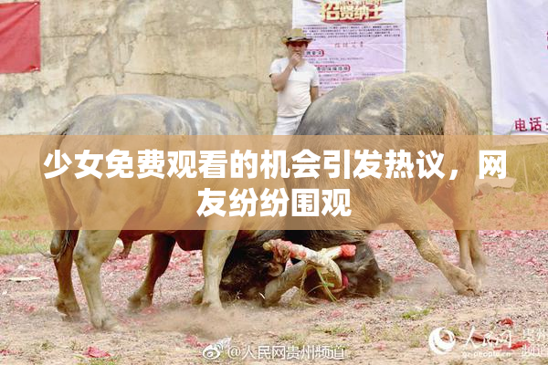 少女免费观看的机会引发热议，网友纷纷围观