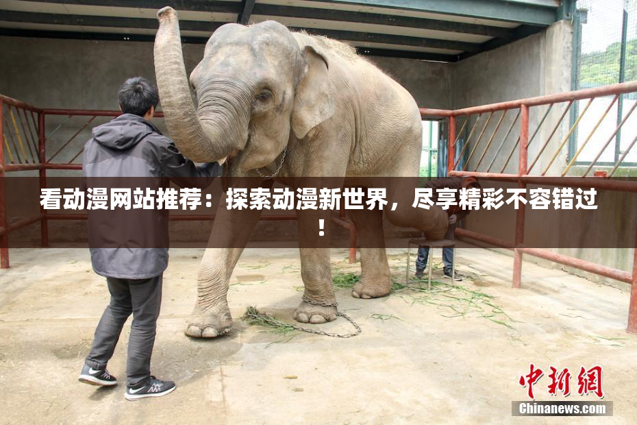 看动漫网站推荐：探索动漫新世界，尽享精彩不容错过！