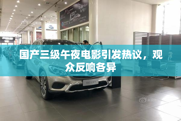 国产三级午夜电影引发热议，观众反响各异